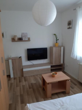 Apartman Dominić